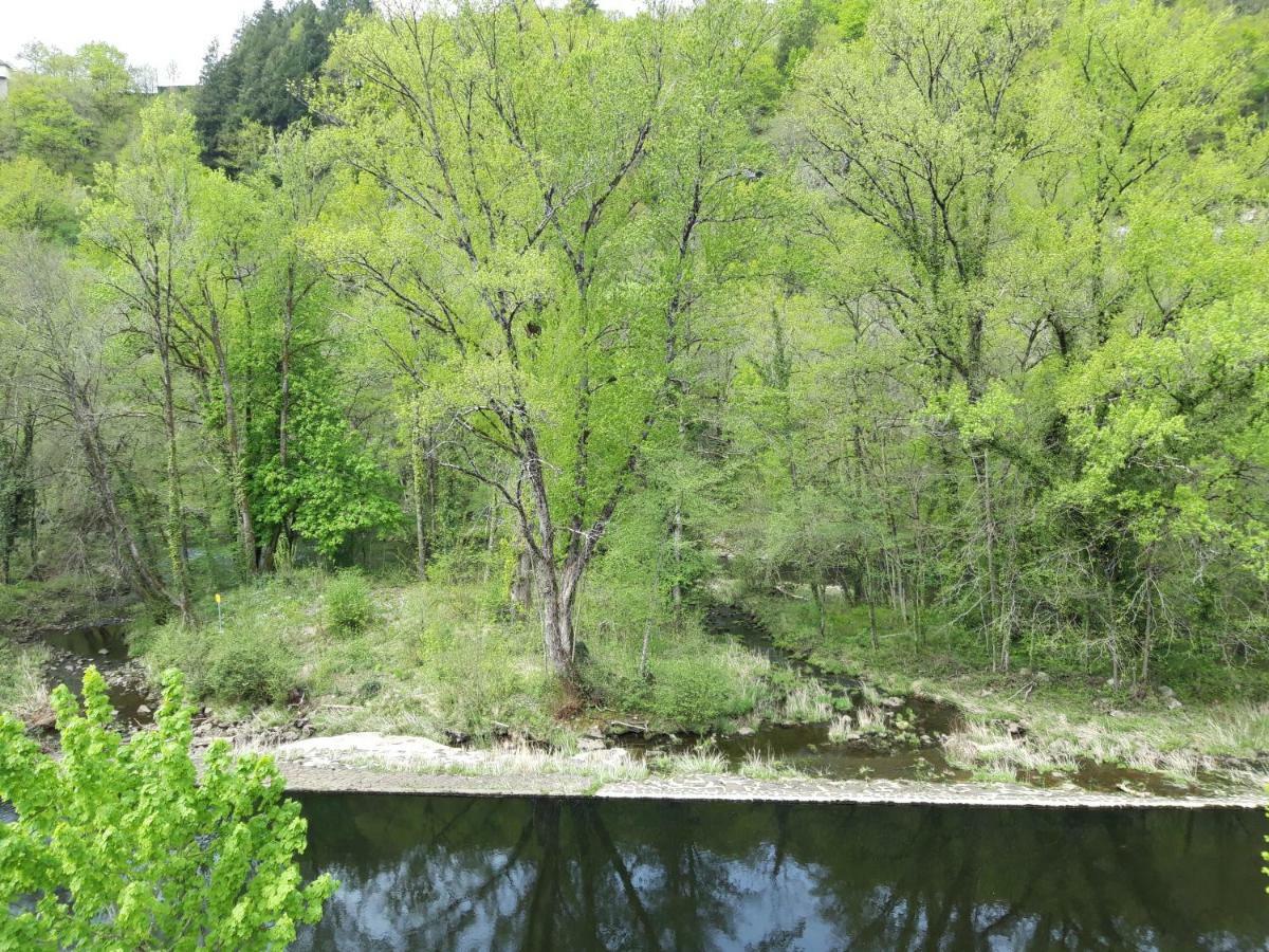 Gite De Truyere Vila Entraygues-sur-Truyère Exterior foto