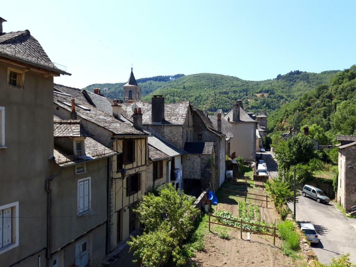 Gite De Truyere Vila Entraygues-sur-Truyère Exterior foto